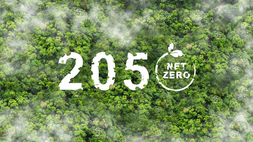 Net zero by 2050 will fail if we can’t deliver in the next five years